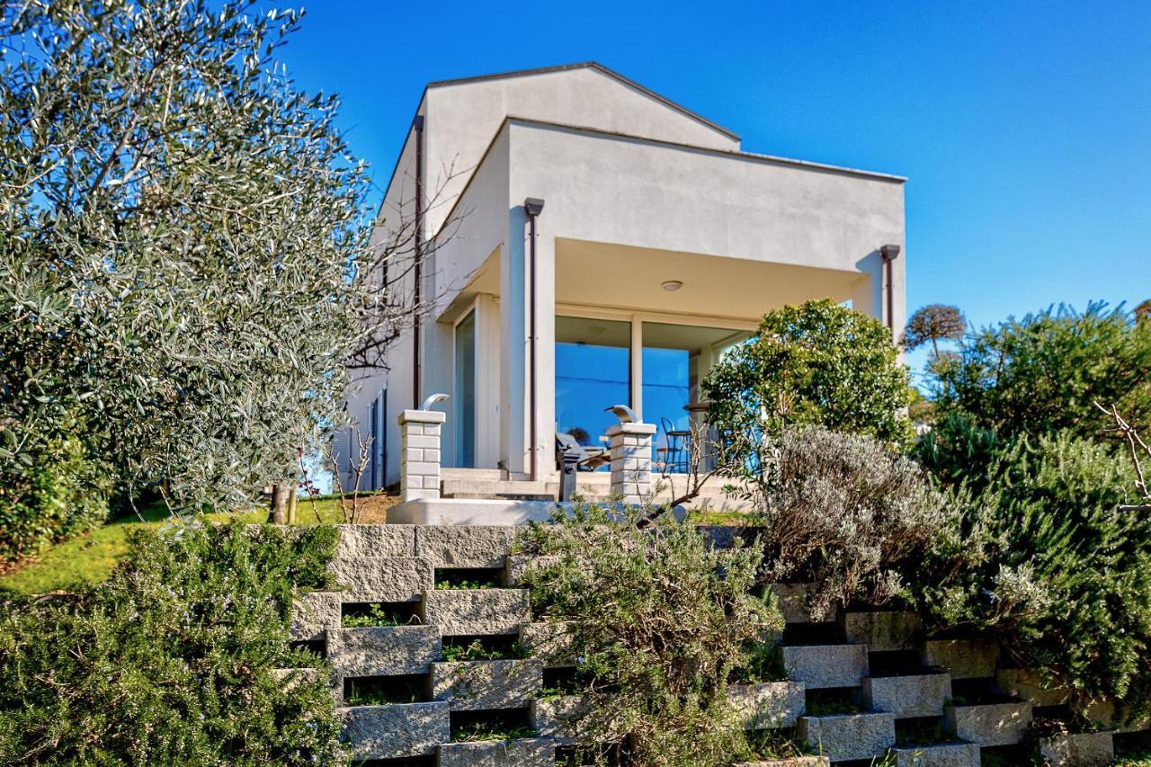 Villa Il Poggino - Modern House โฟยาโน เดลเล เคียนา ภายนอก รูปภาพ
